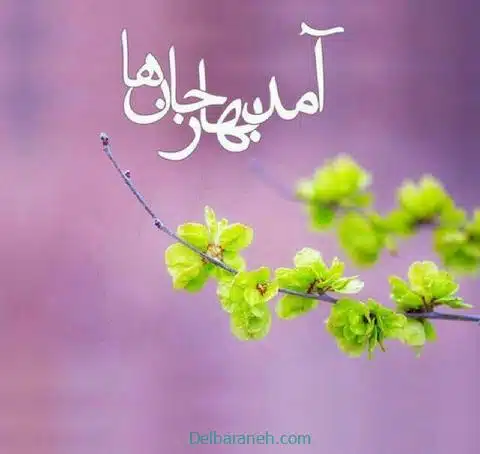 bahar014 (16)