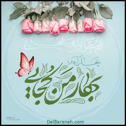 پاسخ به:اتاق چت راسخون