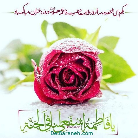 تولد حضرت معصومه (۷)