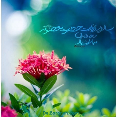 پروفایل حضرت معصومه (۸)