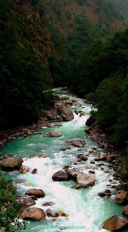 the river01 (3)