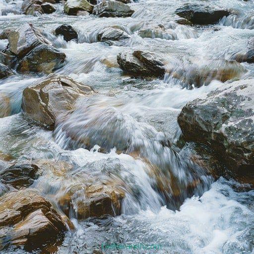 the river01 (5)