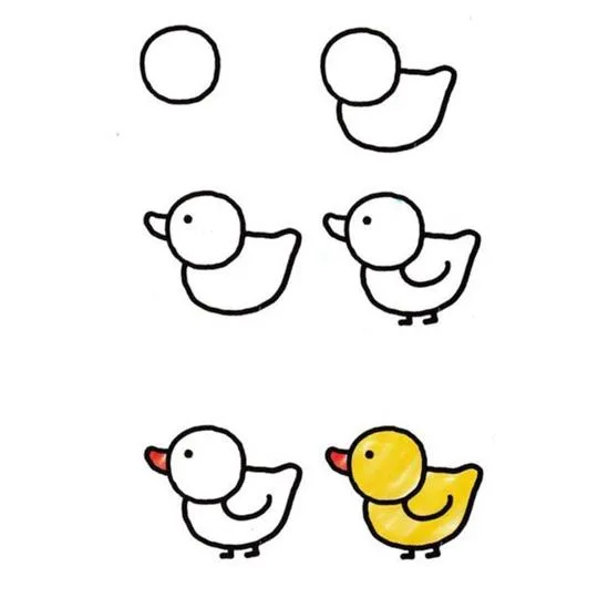 step-by-step-drawing01 (1)