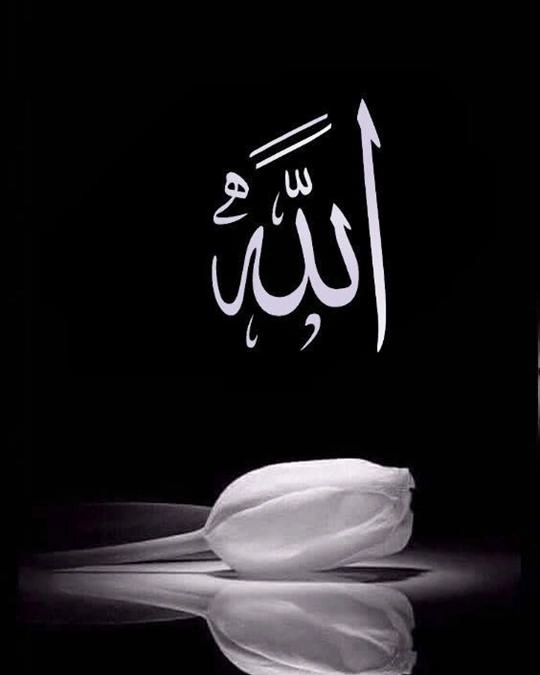 allah01 (16)