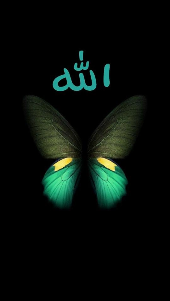 allah01 (6)
