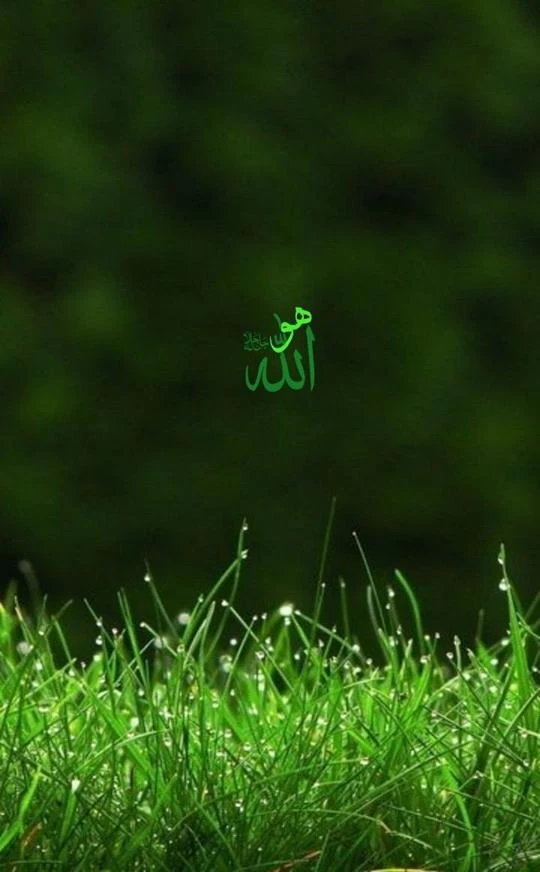 allah01 (7)
