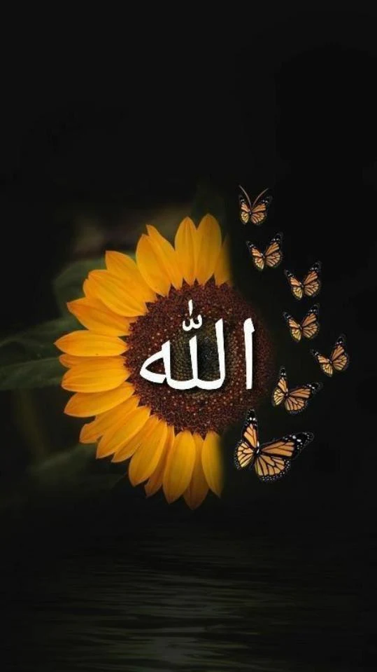 allah01 (9)