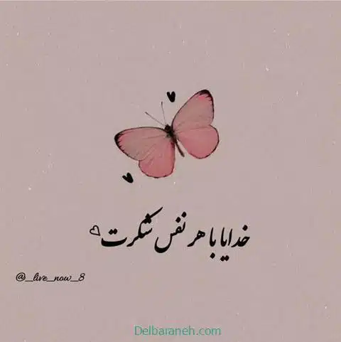 khodaaa01 (8)