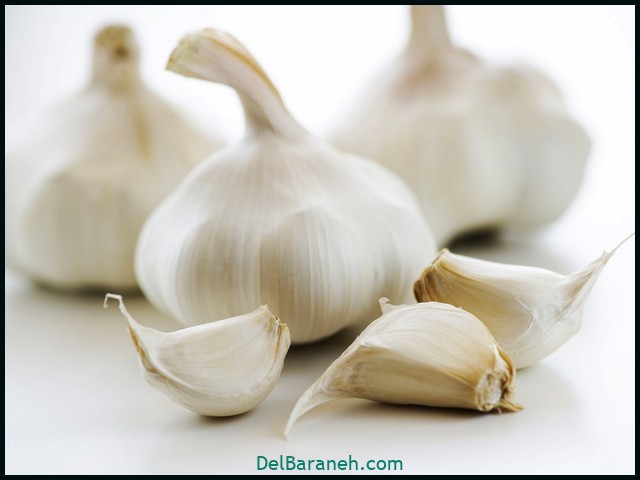 درمان خانگی میخچه پا با سیر (۷)