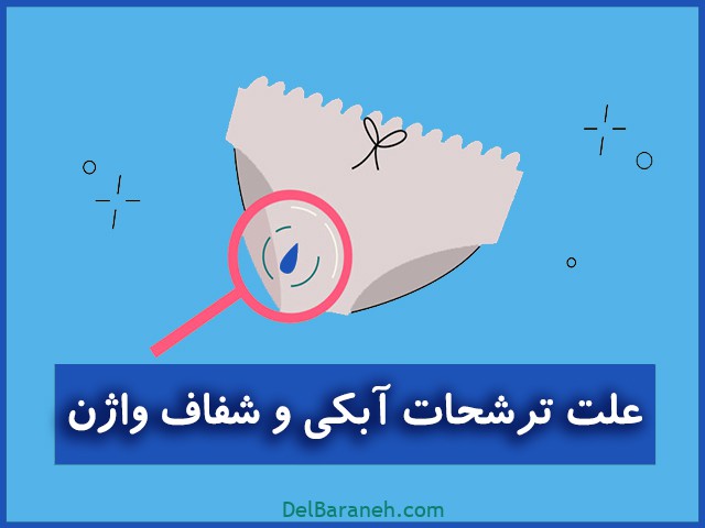 ترشحات آبکی و شفاف واژن