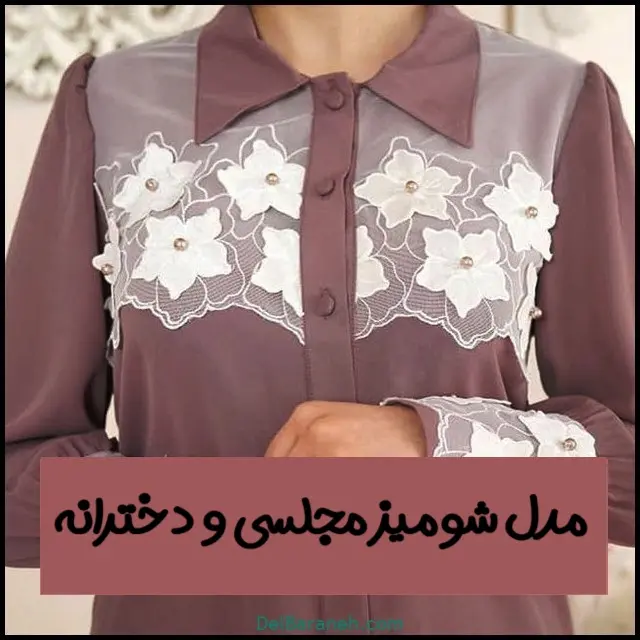 ۱۲۰-مدل-شومیز-شیک-و-جدید۰۱