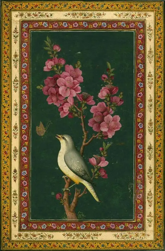 ۰۱ (۱۲)