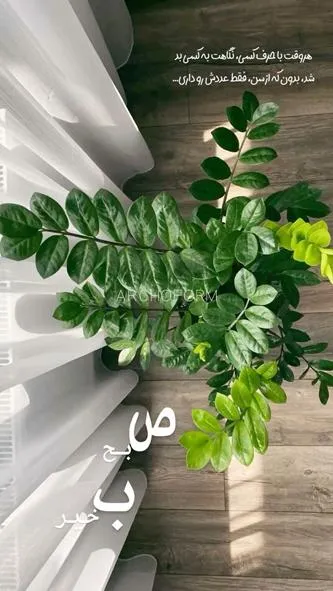 ۰۱۴ (۱)