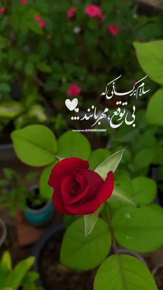 ۰۱۴ (۱۲)