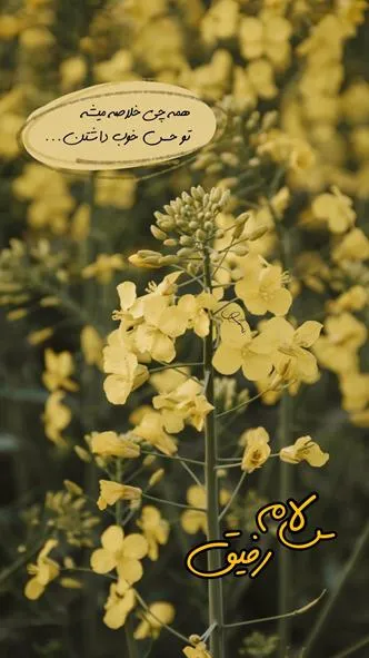 ۰۱۴ (۱۷)