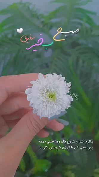 ۰۱۴ (۲۰)