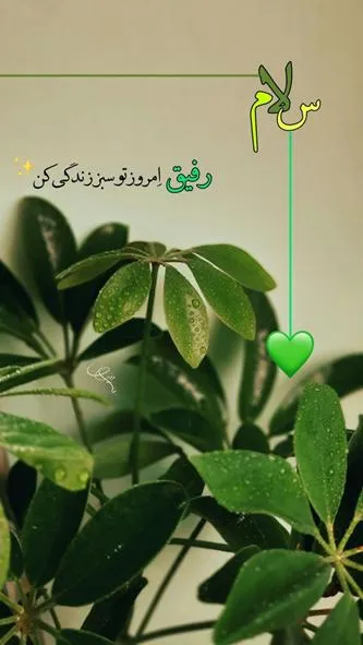 ۰۱۴ (۳)