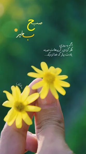 ۰۱۴ (۵)