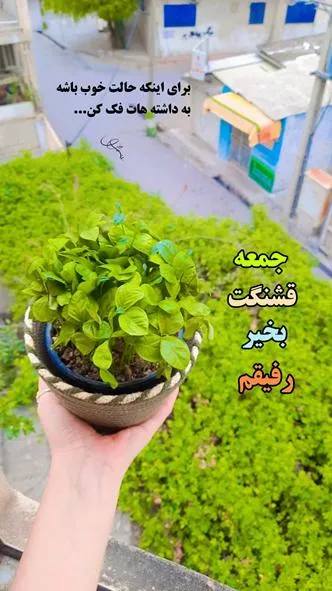 ۰۱۴ (۶)