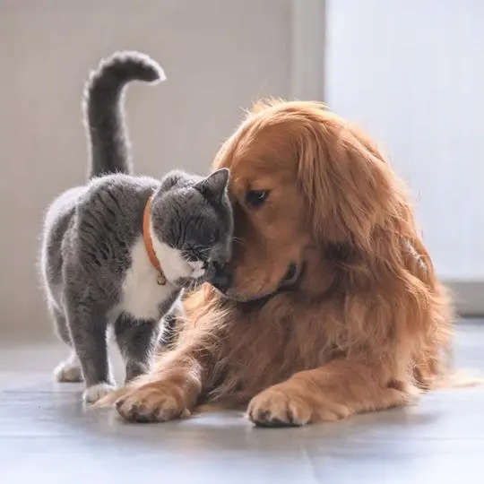 ۰۱ (۱۲)