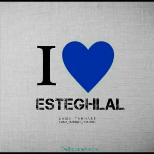 profile-picture-esteghlal01 (4)