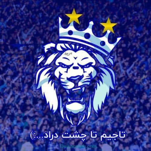 profile-picture-esteghlal01 (7)