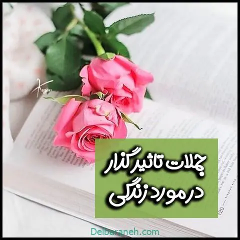 جملات-تاثیر-گذار-۱