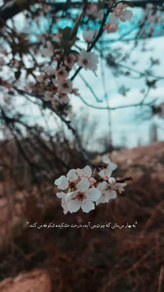 عکس-نوشته-بهار۰۱ (۱۴)
