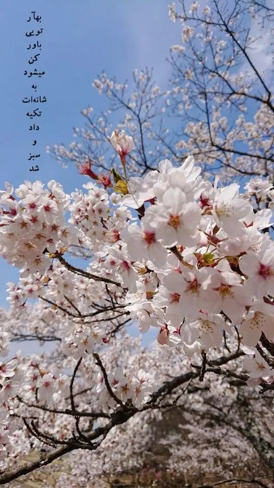 عکس-نوشته-بهار۰۱ (۱۵)