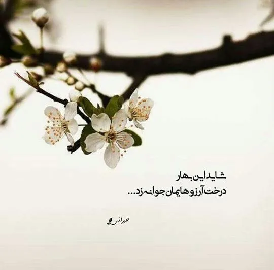 عکس-نوشته-بهار۰۱ (۵)