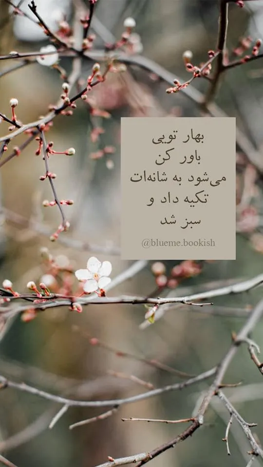 عکس-نوشته-بهار۰۱ (۶)