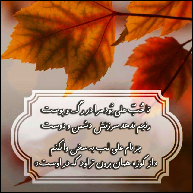 اشعار ولادت حضرت علی (۸)