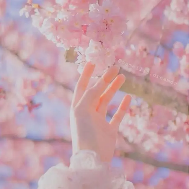 ۰۱ (۱۷) (Copy)