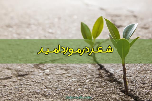 شعر در مورد امید | افزون بر 70 شعر کوتاه و طولانی،نو امید و امیدواری