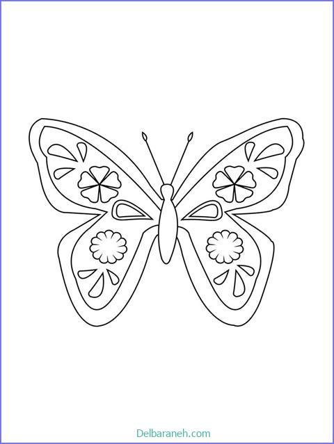 رنگ آمیزی پروانه (۱۱)