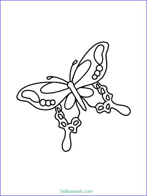 رنگ آمیزی پروانه (۱۲)