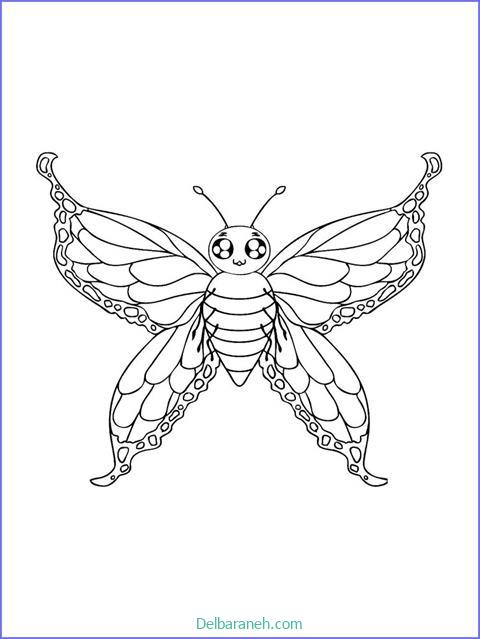 رنگ آمیزی پروانه (۱۴)