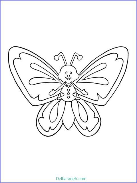 رنگ آمیزی پروانه (۱۵)