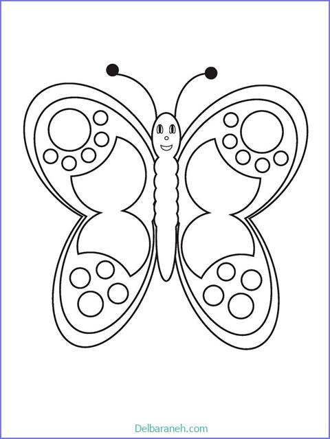 رنگ آمیزی پروانه (۲)