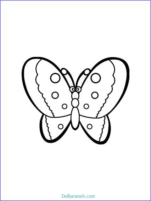 رنگ آمیزی پروانه (۲۰)