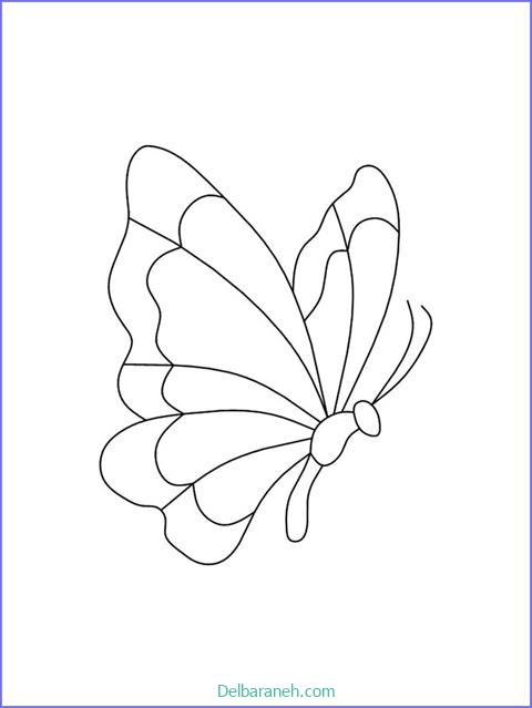 رنگ آمیزی پروانه (۲۴)