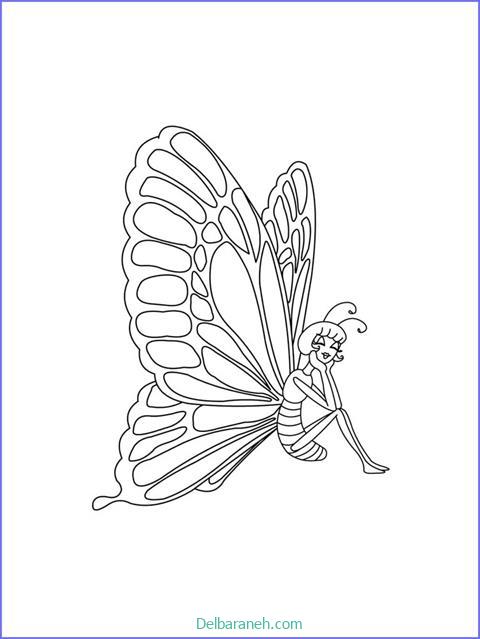 رنگ آمیزی پروانه (۲۵)