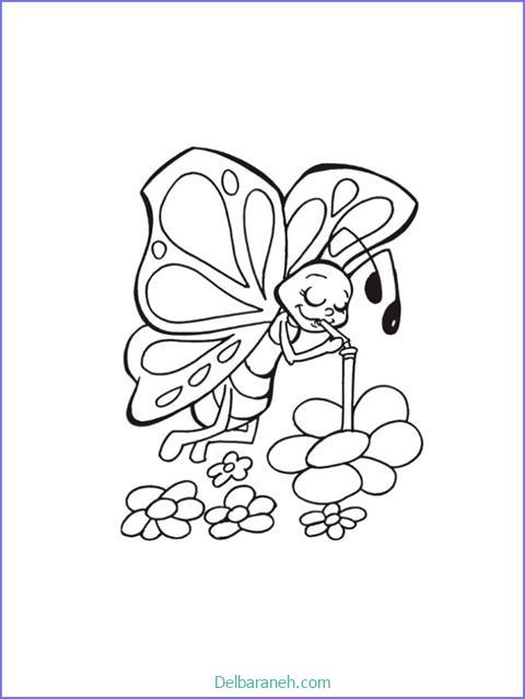 رنگ آمیزی پروانه (۳)