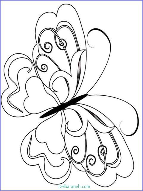 رنگ آمیزی پروانه (۳۷)