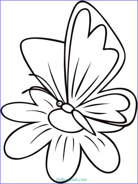 رنگ آمیزی پروانه (۴۴)