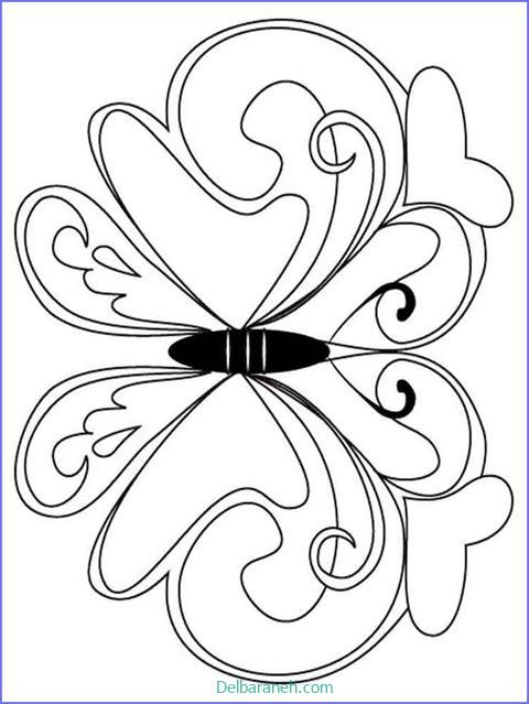 رنگ آمیزی پروانه (۴۹)
