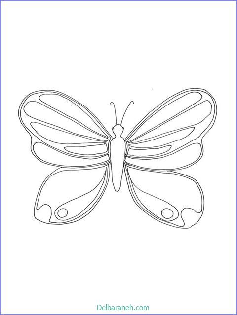 رنگ آمیزی پروانه (۵)