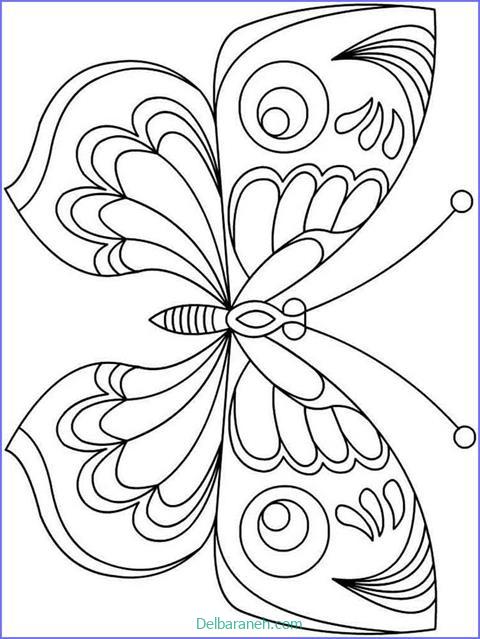 رنگ آمیزی پروانه (۵۱)