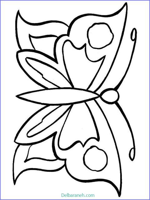 رنگ آمیزی پروانه (۵۴)
