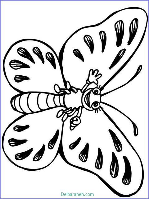 رنگ آمیزی پروانه (۵۹)